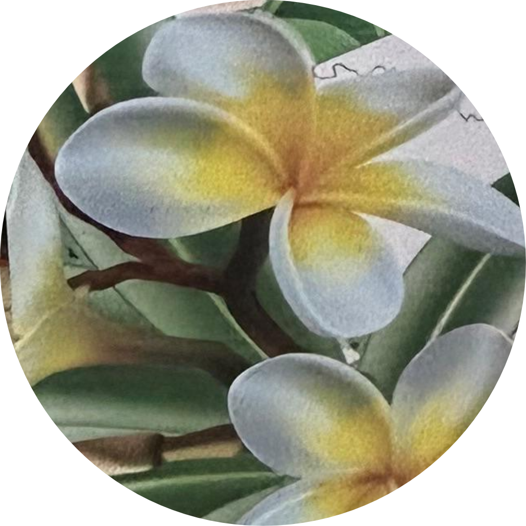 Lic. Liliana